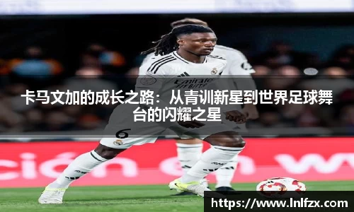 8868体育官方网站